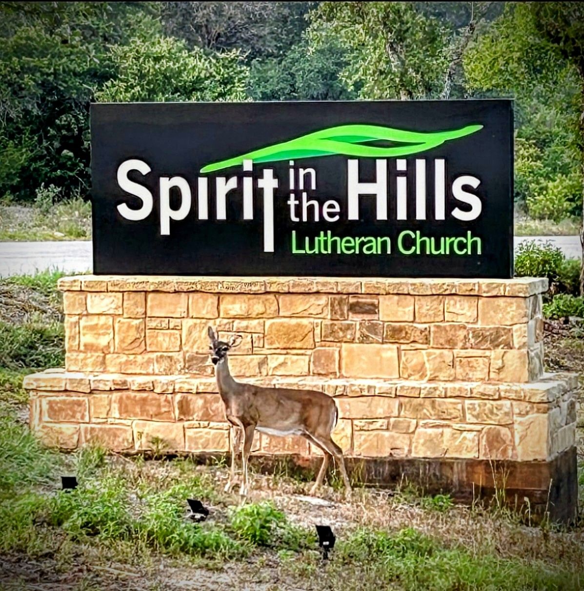 Spirit in the Hills Lutheran Church logo - green rolling hills with church name